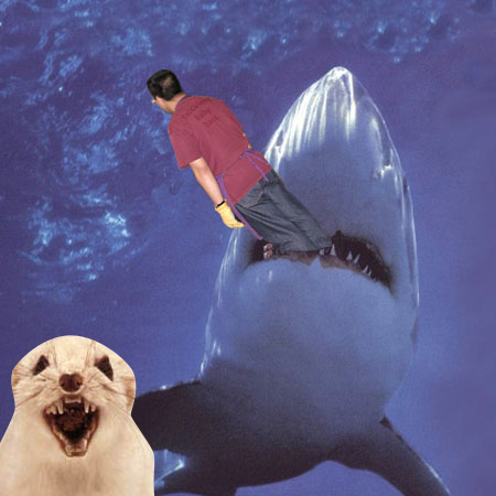 'Hypothetical' Conservative shark attacking Ignatieff, and a random sea lion